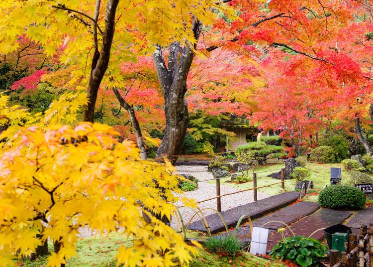 写真提供：円通院