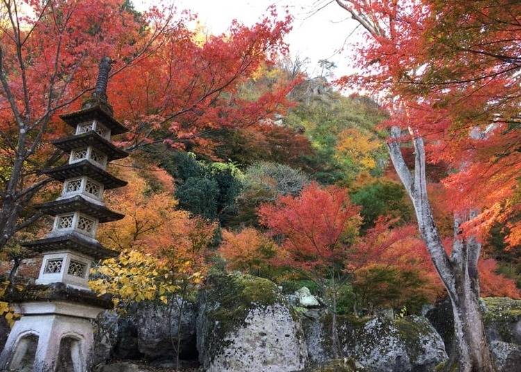 写真提供：天守閣自然公園