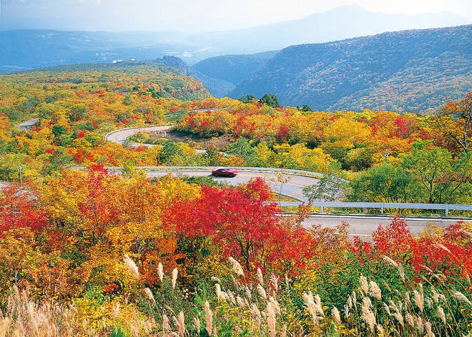 22年 宮城県のおすすめ紅葉スポット 見頃10選 息をのむ絶景の数々 Live Japan 日本の旅行 観光 体験ガイド