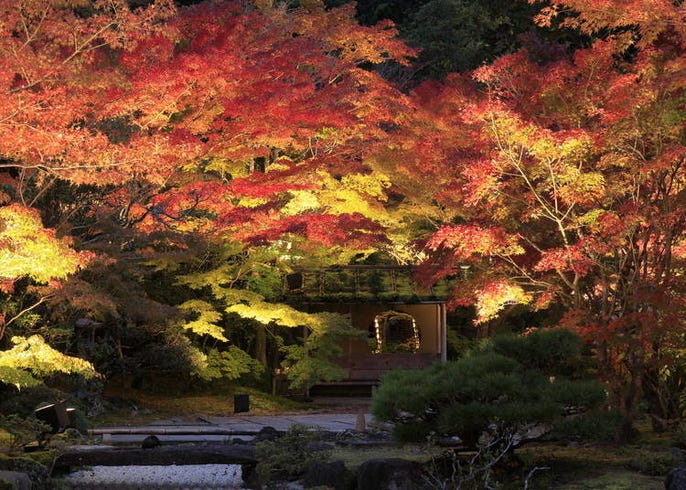 日本宮城賞楓景點10選 最佳賞楓時期 交通資訊 鳴子峽 秋保大瀑布等 Live Japan 日本旅遊 文化體驗導覽