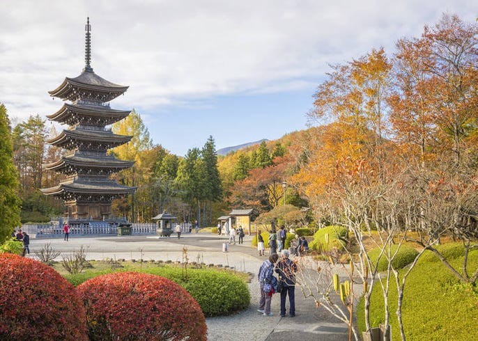 日本宮城賞楓景點10選 最佳賞楓時期 交通資訊 鳴子峽 秋保大瀑布等 Live Japan 日本旅遊 文化體驗導覽