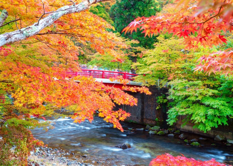 Autumn leaves in color at Nakano Momiji Mountain