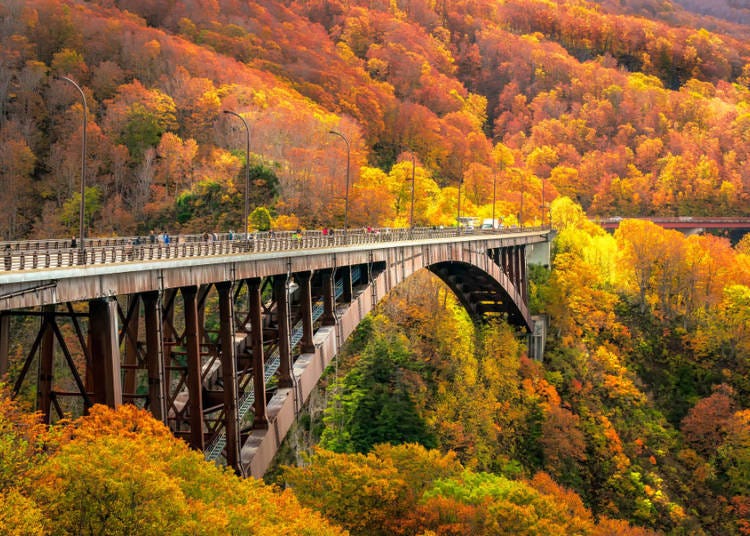 4. Jogakura Ohashi Bridge: Spectacular scenery from the 360m panoramic bridge