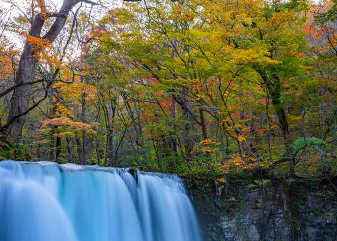 年 青森県の紅葉スポット 見頃10選 蔦沼 奥入瀬渓流など絶景ぞろい Live Japan 日本の旅行 観光 体験ガイド