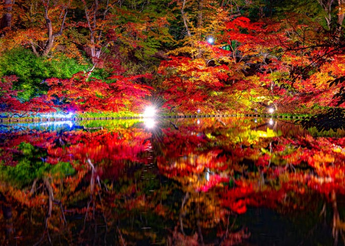年 青森県の紅葉スポット 見頃10選 蔦沼 奥入瀬渓流など絶景ぞろい Live Japan 日本の旅行 観光 体験ガイド