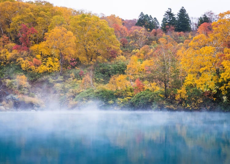 湯気が立ち込める地獄沼と紅葉