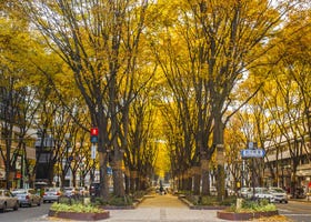 Visiting Sendai in Autumn 2023: Travel & Weather Guide for September-November