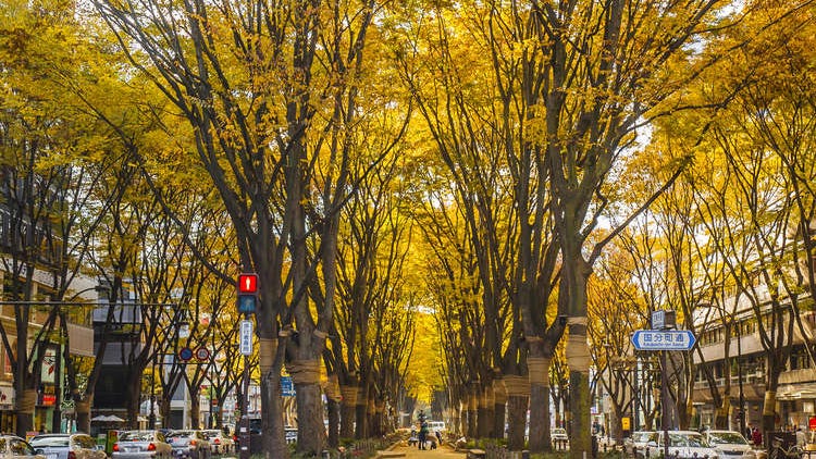 仙台自由行必看！秋天9月、10月、11月的天氣資訊、服裝穿搭建議