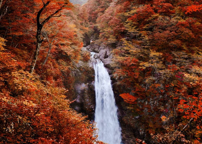仙台の秋 9月10月11月 の天気 気温 服装 旅行の前に知っておきたい Live Japan 日本の旅行 観光 体験ガイド