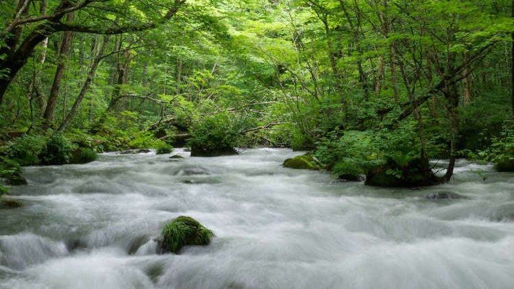 青森の名所「奥入瀬渓流」4つの絶景スポットを巡るおすすめ散策ルートを徹底レポ！