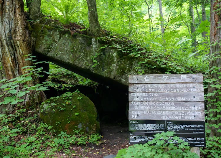 The information board has explanations in English and Chinese, for the convenience of visitors from other countries.