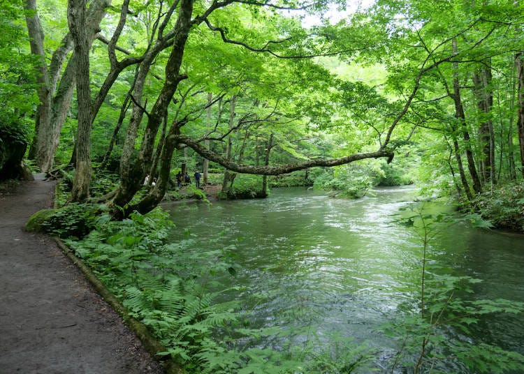 A walking path that calms you even as you stroll along