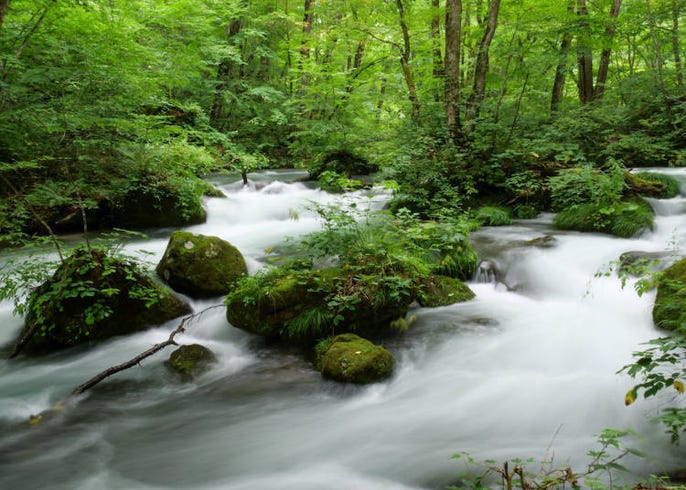 Oirase Gorge Is The Unforgettable Day Hike In Japan S North Guide Access Sightseeing Tips Live Japan Travel Guide