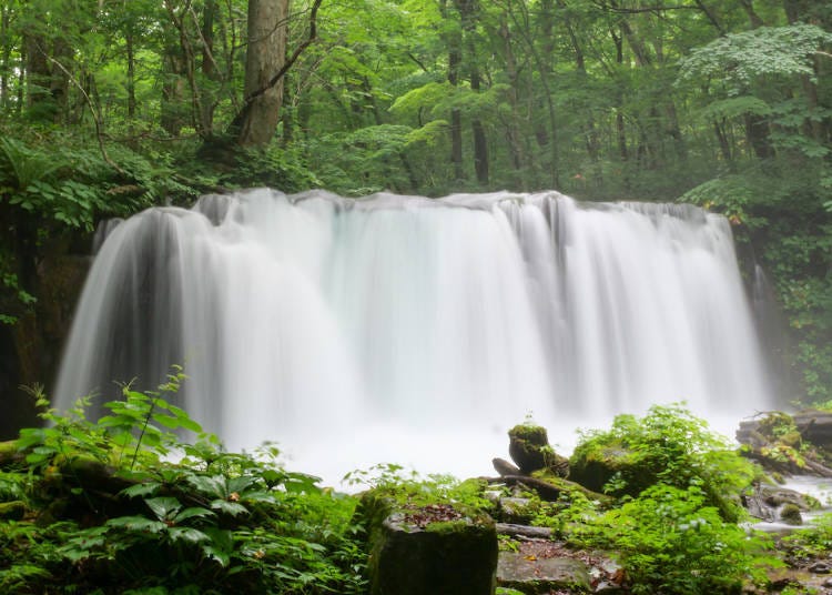 Chōshi-Ōtaki Waterfall, which boasts an abundance of greenery even amid all the nature surrounding it