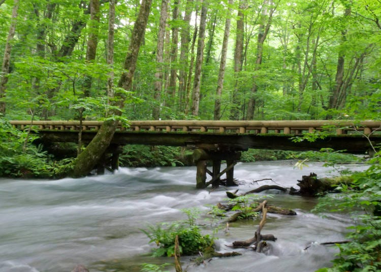 A bridge near Chōshi-Ōtaki Waterfall. To capture all these calming scenes, don’t forget your camera.