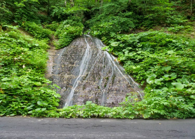 車道に突然現れる「玉簾（たまだれ）の滝」は落差約6mの分岐瀑