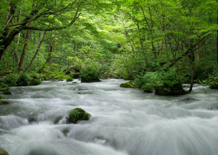 青森的奧入瀨溪流就這樣玩！交通資訊、必看景點、周邊住宿