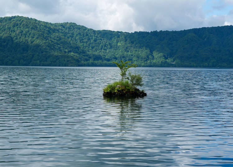 A cute island that appears to be floating