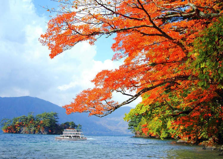 紅葉季節的十和田湖（照片提供：十和田湖遊覧船）