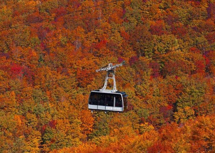 Photo credit: Zao Ropeway