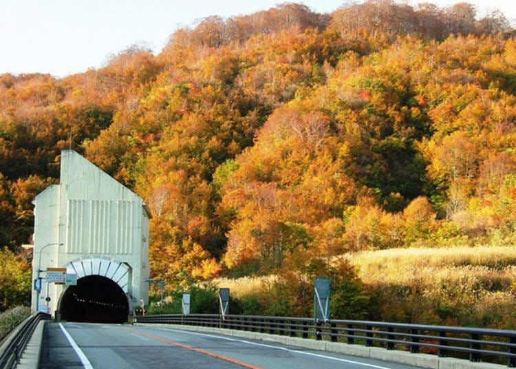 Photo courtesy: Gassan Asahi Tourism Association