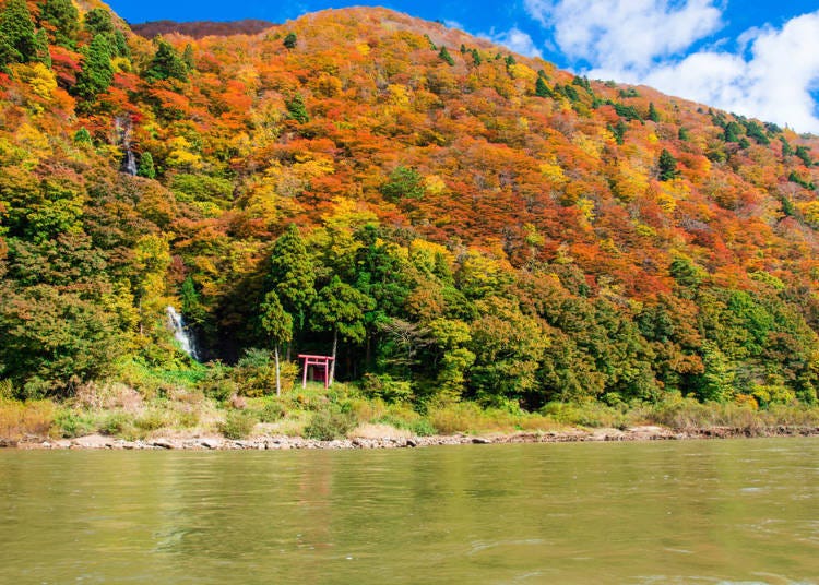 6. Mogamikyo: Experience the magic of autumn leaves from up close