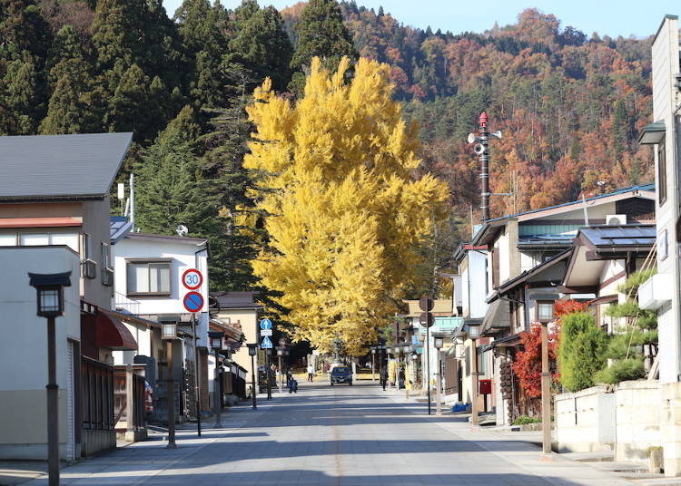 Image courtesy of Kumano Taisha
