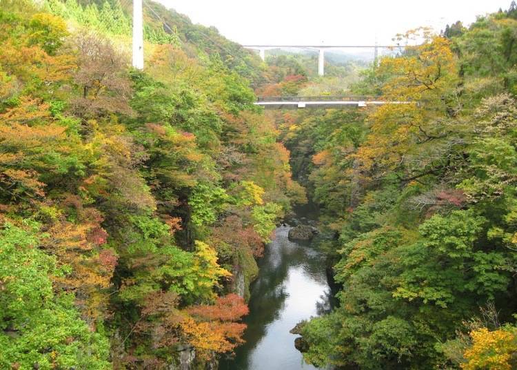 10. Bonji-gawa Valley: Stroll across a suspension bridge and gaze at autumn leaves in the valley