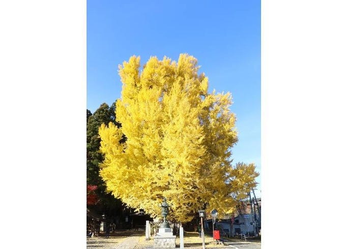 山形紅葉景點10選 最佳賞楓時期 藏王 銀山溫泉 立石寺 Live Japan 日本旅遊 文化體驗導覽