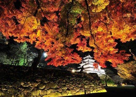 【2023年】福島県で行きたい紅葉スポット＆見頃10選！鶴ヶ城や五色沼湖沼群など