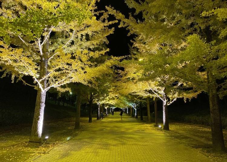 10 Best Places to See Autumn Leaves in Fukushima Prefecture & When