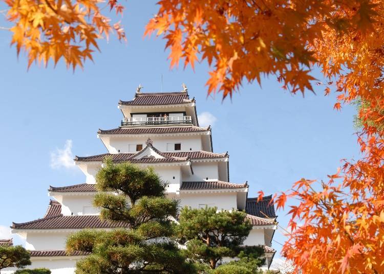 7. Tsurugajo Park: Autumn leaves framing the beautiful Tsurugajo Castle