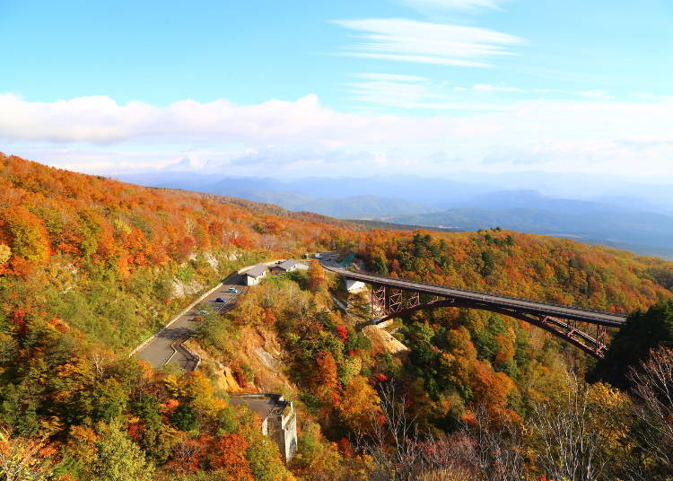 2. Bandai Azuma Sky Line: Gorgeous fall foliage seen from a mountain road