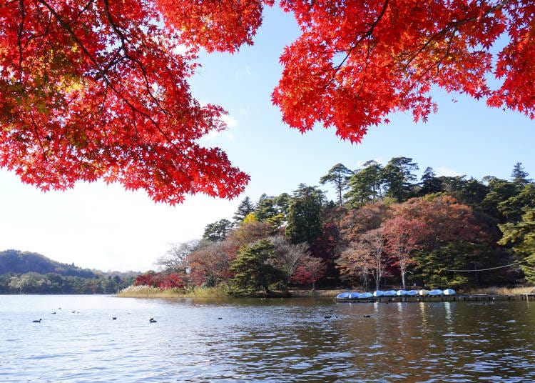 9．17の景勝地を持つ【南湖公園】