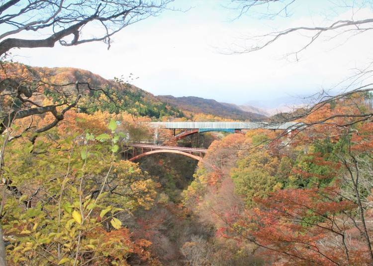 8. 雪割桥与雪割溡谷：福岛缶纷秋色的绝美画卷
