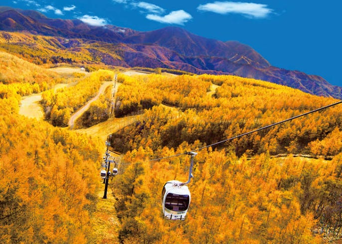 福島紅葉景點10選 最佳賞楓時期 裏磐梯 五色沼湖 鶴城 Live Japan 日本旅遊 文化體驗導覽