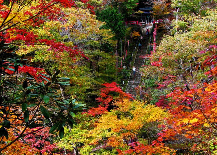 10.通往聖地的石階與楓葉「山本不動尊」