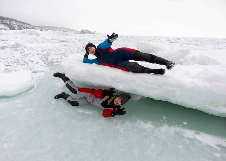 Roll around on the ice floes like a bed...