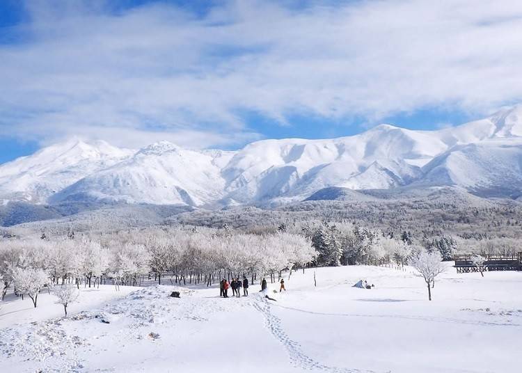 3. Go "Shiretoko Five Lakes Snowshoeing" for winter's most beautiful sights
