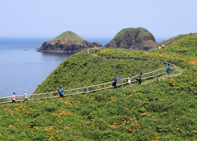 A microcosm of Japan: What kind of place is Sadogashima?