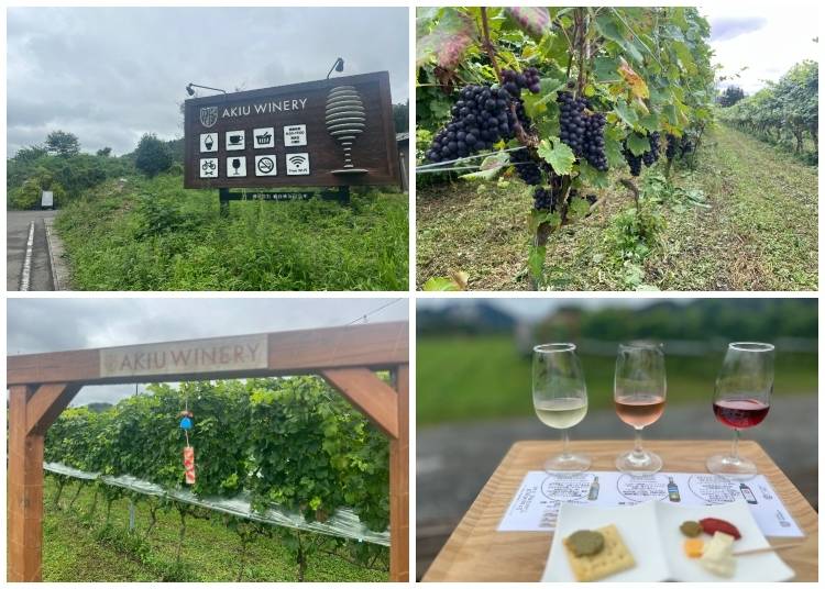 5. Taste local wine at Akiu Winery