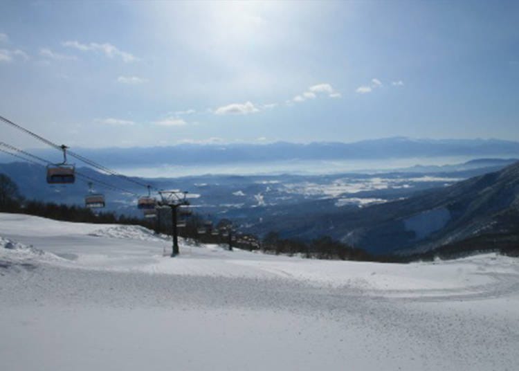 Wide and gentle slopes for beginners. Panorama Slope (Photo courtesy of Suginohara Ski Resort)