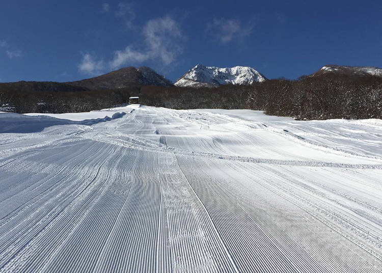 Kayaba Slope, with a width of 400m and a length of 3km (Photo courtesy of Ikenotaira Onsen Ski Resort)
