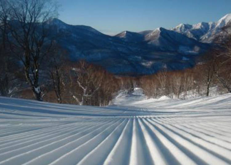 雪质与视野都绝佳的「Shakunage Trail（しゃくなげコース）」（照片提供：杉之原滑雪场）