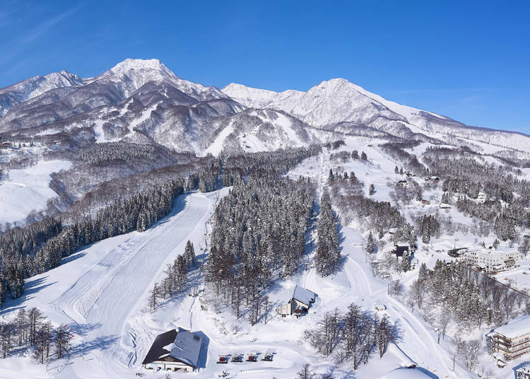 赤仓温泉滑雪场全景（写真提供：赤仓温泉スキー場）