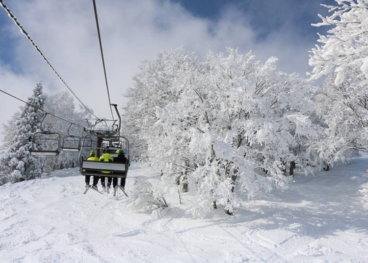 前往滑雪練習場的吊椅（照片提供：赤倉溫泉滑雪場）