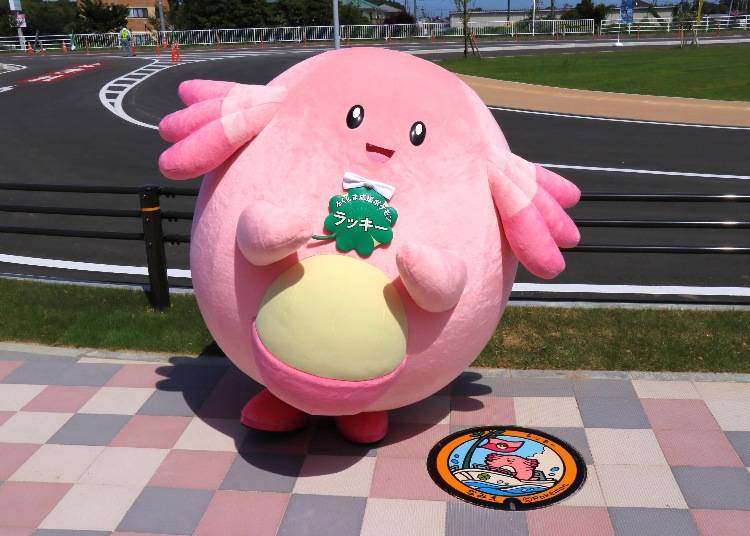 Why Chansey?