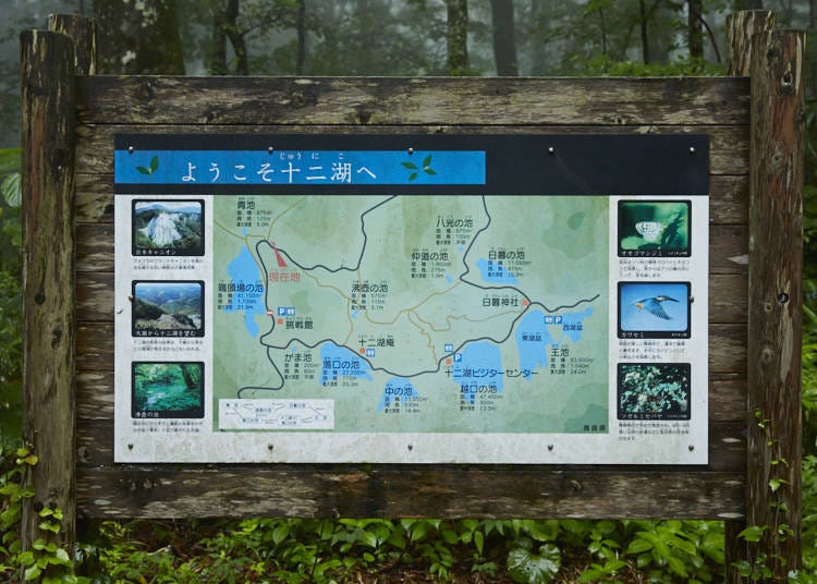 Trail towards Aoike, a must-visit attraction of Juniko!