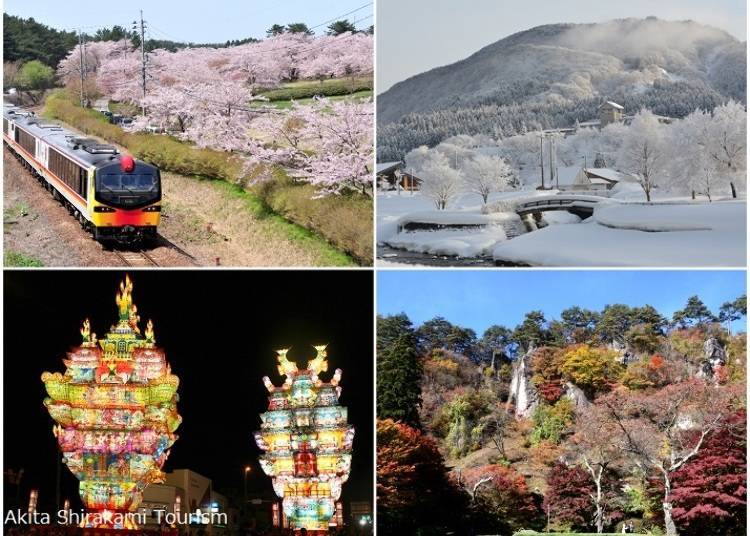 More About Shirakami-Sanchi in the Tohoku Region