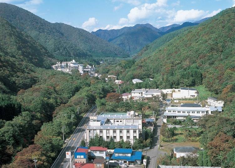 Foto atas izin Asosiasi Pariwisata Internasional Sendai